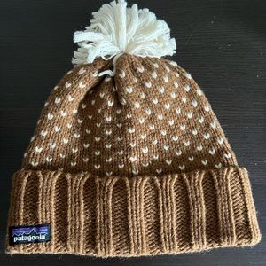 Patagonia Beanie